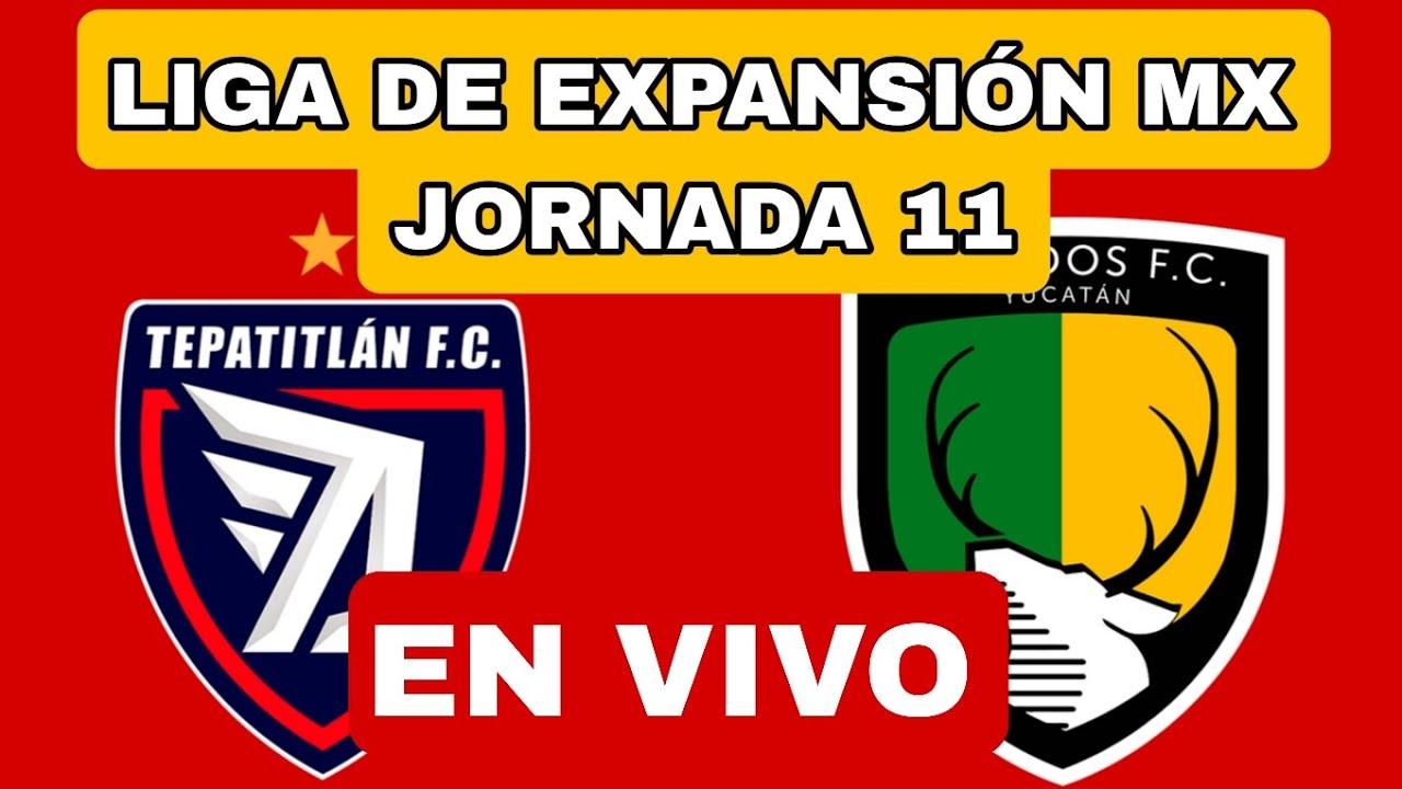 Venados FC vs Tepatitlán FC ภาพถ่ายทอดสดฟุตบอล