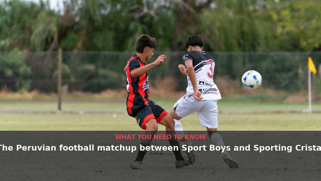 Sport Boys vs Sporting Cristal ภาพวิดีโอไฮไลท์ฟุตบอล