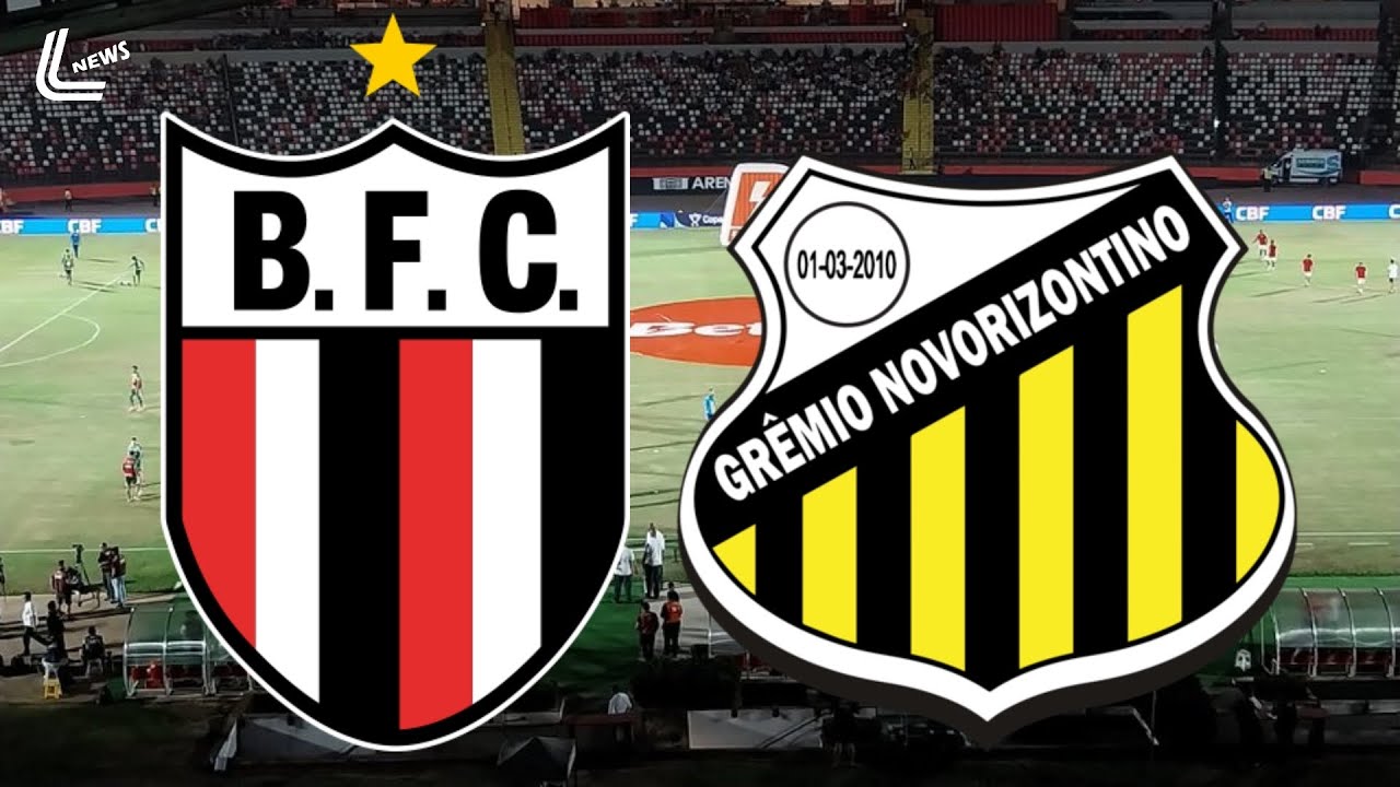Botafogo-SP vs Novorizontino ภาพถ่ายทอดสดฟุตบอล