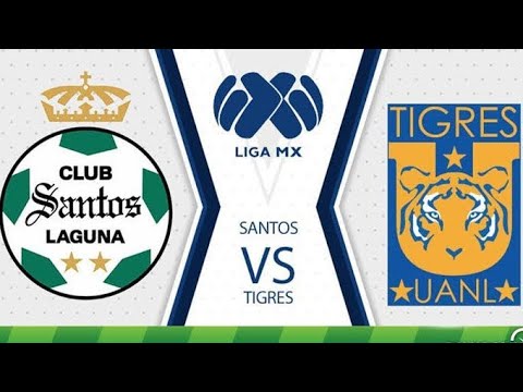 Santos vs Tigres UANL ภาพถ่ายทอดสดฟุตบอล